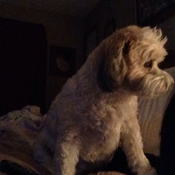 My Best Friend Forever In My Heart 💕 - Picture 17 of 17